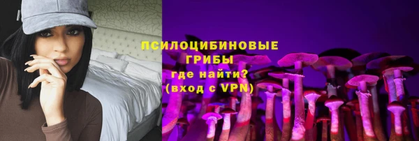 стафф Ладушкин