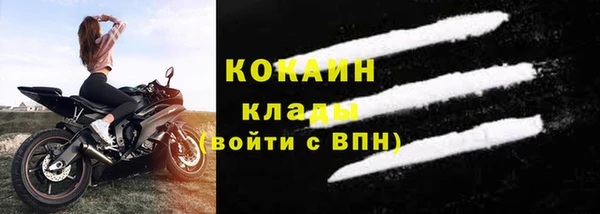 стафф Ладушкин
