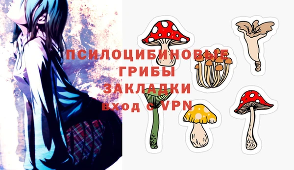 не бодяженный Лабытнанги